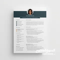  2 **"CV Pro"** – بسيط واحترافي.   بارخص الاسعار