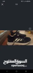  3 shoes Adidas size 44