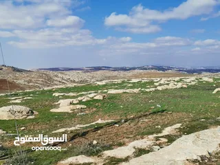  6 ارض سكنية استثمارية  للبيع  تنظيم سكن أ بمساحة 915 م طريق الجامعة الالمانية _ ناعور _ حسبان