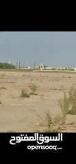  1 مزرعه طريق 500 عند مسجد العايش 25000 م
