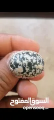  4 حجر المراد  خاتم شياطين افغاني افريقي اصلي ومضمون سعره 350