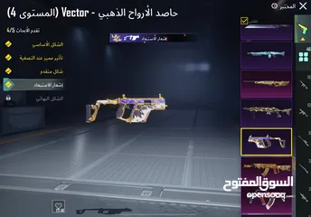  13 للبيع فقط وجه لوجه فقط مربوط داخلي ورقم وبتغيرو
