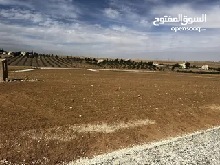  3 ثلاث دنمات و 400 متر زراعي كافة الخدمات