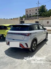  7 دولفن 2022 اقل سعر بالمملكه وانظف حبه
