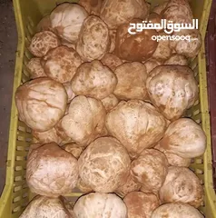  3 البحث عن شريك لتصدير الخضر والفواكه