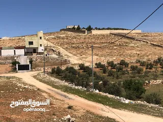  7 قطعة ارض للبيع -بلعما -عين والمعمرية