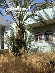  1 بيت مستقل للبيع في الباذان