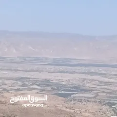  7 مزرعه للبيع في الصبيحي مطله على فلسطين