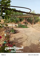  2 بيت مستقل للبيع