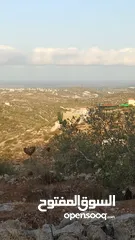  4 القبة الذهبية  شارع بلعا-دير الغصون