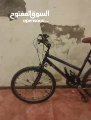  3 بسكليت نمره ب 24 بحل الوكاله مش ناقصه ولا اشي