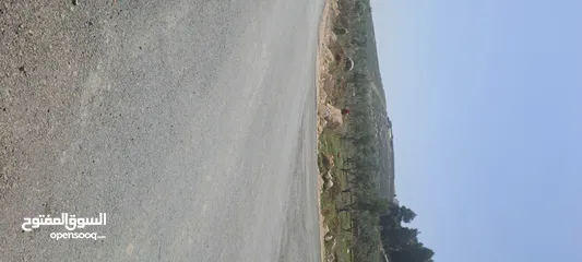  2 ارض للبيع ناعور الجديده حوض البويضه بالقرب من مدارس الجاليات ومدرسه ايبك قطعه سكنيه للفلل