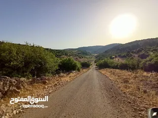  5 أرض متعددة الاستخدامات في أجمل مناطق عجلون