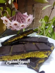  8 توزيعات شوكولاته ل عيد الاضحى المبارك