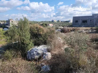  2 حصة بمنطقة الحرايق