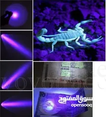  5 التوصيل الى باب الدار: لامبة كشف العقارب بالأشعة البنفسجية Lampe UV de détection – pour scorpions