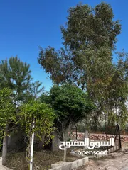  3 4 دونم قرب شارع جرش المفرق الرئيسي