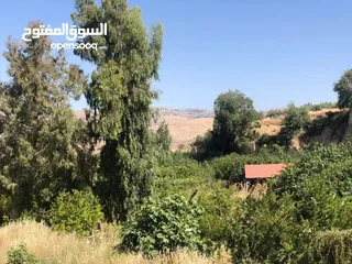  1 للبيع قطعه ارض مثالية في ماحص مميزة جدا يوجد فيها ينابيع مياه