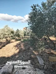  4 ارض للبيع في زبوبا طريق المطلة