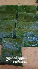  1 ملوخيه مفرزه وجاهزه للطبيخ