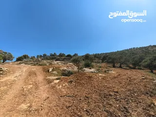  1 قطعة ارض 19 دنم زيتون كوشان واحد سعر ببلاش