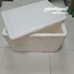  1 styrofoam box