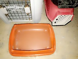  3 اكسسوارات قطط للبيع بحالة جيدة استعمال 6 اشهر.