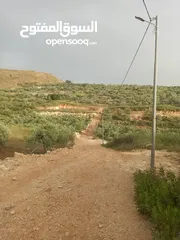  1 ارض للبيع منطقة جيوس قلقيلية