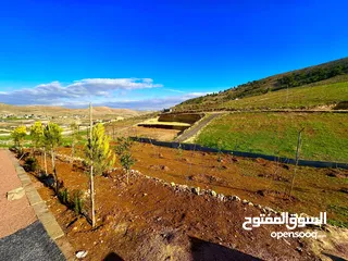  12 ارض شفابدران بيرين بدفعه 5000 وقسط 250 جميع الخدمات جاهز للبناء