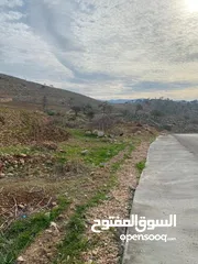  3 14 قطعة أرض في أجمل مناطق كفرنجه في عجلون