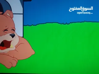  6 شاشه LG 65