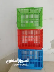  2 ثلاث قفاص للبيع موجودات في عمان
