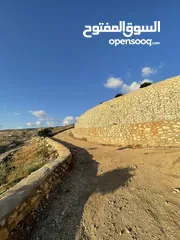  9 مزرعة في مغاريب السلط من المالك مباشرة
