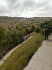  7 مزرعه مع 2 بيت ريفي مخدومه ماء وكهرباء مساحتها 4712