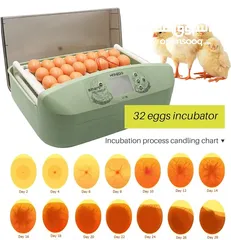  4 فقاسة 32 بيضة فل اوتوماتيك موديل حديث امتياز اوروبي