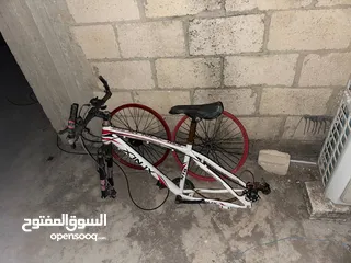  2 بسكاليت امريكي مستعمل للبيع بسعر 25 دينار