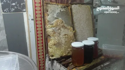  2 مناحل عسل مملكة النحل سعر خاص للتجار و للكميات قطفة جديده هذا العام