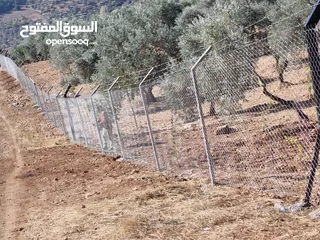  30 تعهدات ..ابو الامير الشمري ...استصلاح الأراضي الزراعيه بناء سناسل حجريه تشييك مزارع