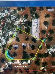  1 قطعه من المالك مباشره شفابدران المقرن