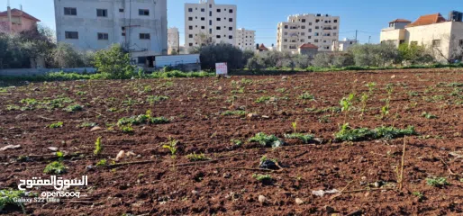  2 ارض للبيع في منطقة الجابريات