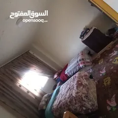  13 شقتين كوشان واحد