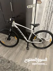  2 Brand New Bicycle brand giant