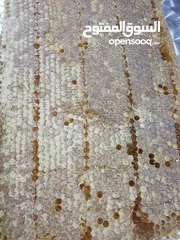  20 يوجد عسل طبيعي مكفول 100٪ من جبال عجلون _ عرجان