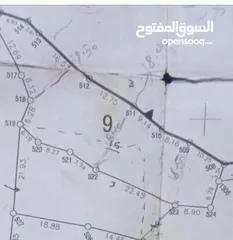  1 قطعة ارض للبيع في بيت ليد مساحتها دونم