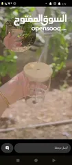  2 حي التركمان