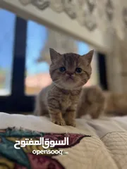 1 بسم الله ما شاء الله