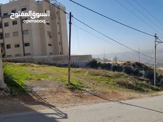  6 ارض للبيع في ابو نصير بالقرب من مستشفى الرشيد و مطعم ديوان زمان