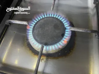  6 طباخ مصري كامل مابيه نقص