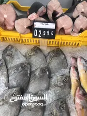  19 ‏للبيع سمك