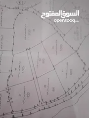  1 ارض زراعيه في بلعا دير الغصون